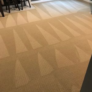 carpet cleaning Fort Wayne IN