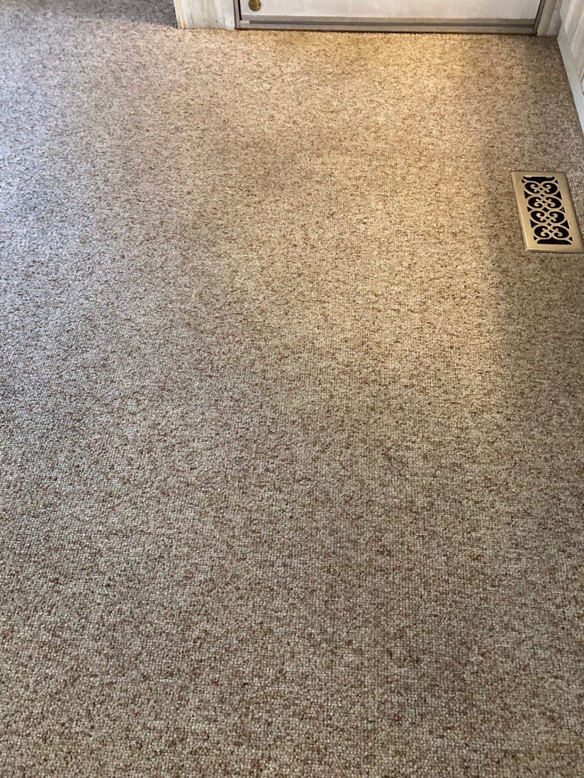 carpet cleaning fort wayne